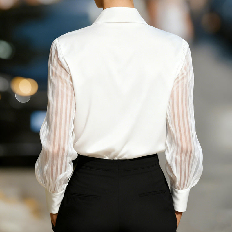 Elegant Women's Satin Blouse - Classic Lapel Collar, Sheer Long Sleeve, Button-Down Shirt With Smooth Flowy Design For Spring & Autumn Office Wear 
