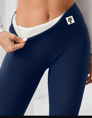 Navy kitten