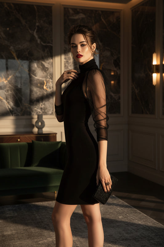 Elegant Long Sleeve Sheath Dress with High Neck and Mesh Overlay for Formal Evening Wear 